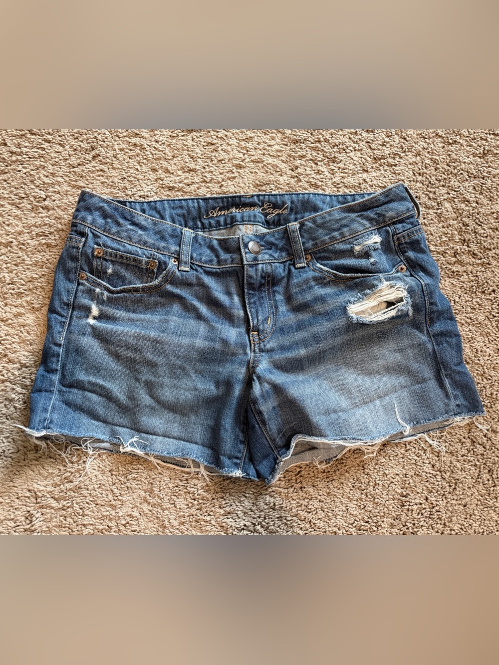 American Eagle Outfitters Blue Distressed Denim Cutoff Shorts